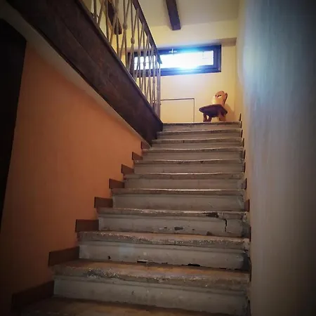 Cà Tron Next To Rialto Bridge Venise